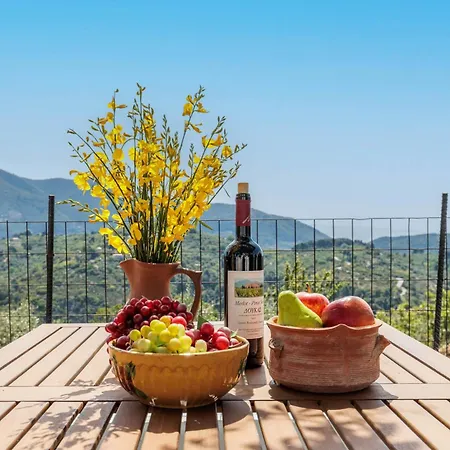 Case de vacanță Anatoli Peak