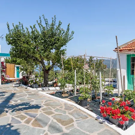 Anatoli Peak Semesterbostad Skopelos stad